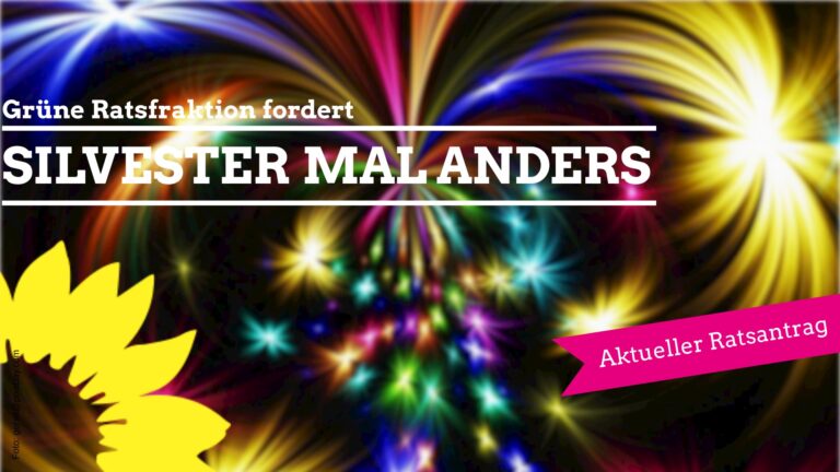Grüne wollen ein anderes Silvester
