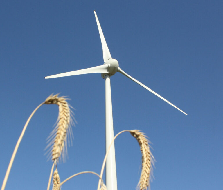 Schulz-Hendel: Konkrete Vorgaben für den Windkraftausbau sind ein Signal des Aufbruchs